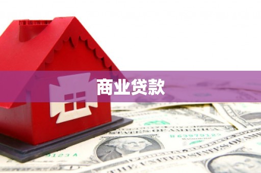 高树商业贷款