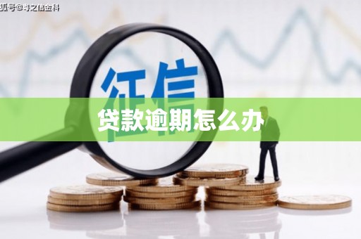高树贷款逾期怎么办