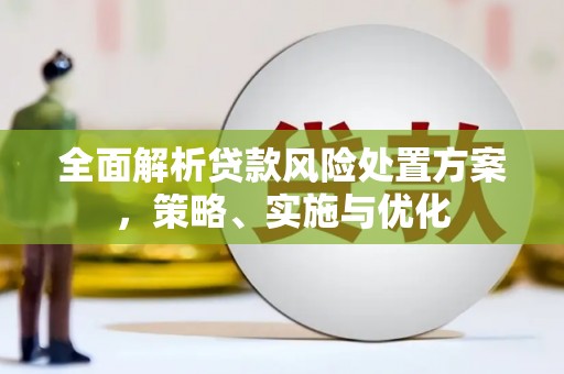 高树全面解析贷款风险处置方案，策略、实施与优化