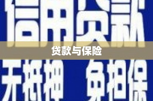 高树贷款与保险