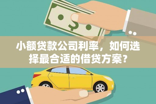 高树小额贷款公司利率，如何选择最合适的借贷方案？
