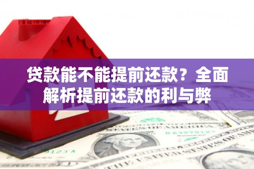 高树贷款能不能提前还款？全面解析提前还款的利与弊