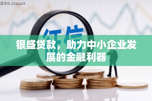 高树银盛贷款，助力中小企业发展的金融利器