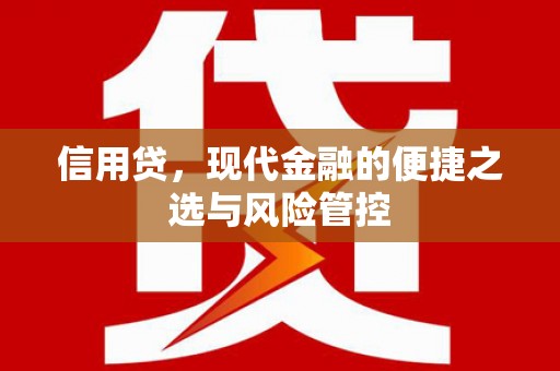高树信用贷，现代金融的便捷之选与风险管控