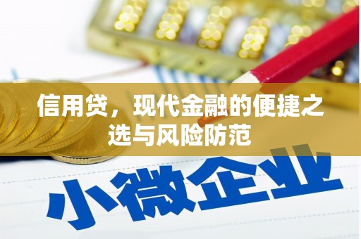 高树信用贷，现代金融的便捷之选与风险防范