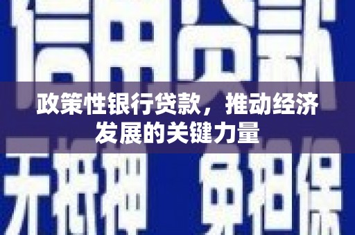 高树政策性银行贷款，推动经济发展的关键力量