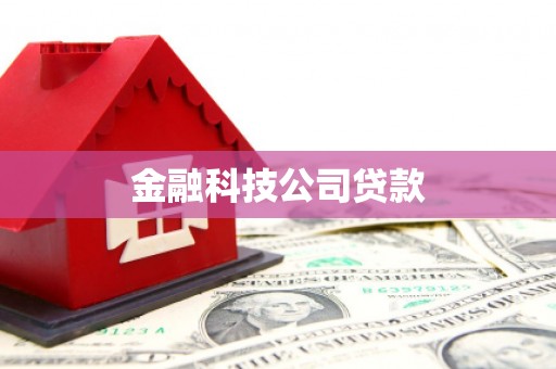 高树金融科技公司贷款