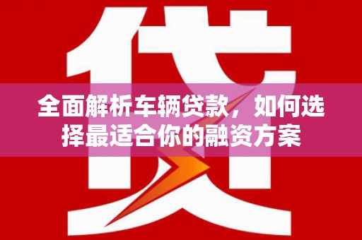 高树全面解析车辆贷款，如何选择最适合你的融资方案
