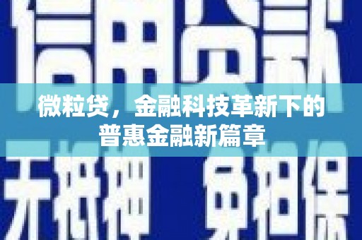 高树微粒贷，金融科技革新下的普惠金融新篇章