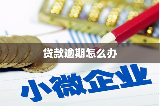 高树贷款逾期怎么办