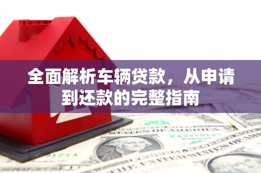 高树全面解析车辆贷款，从申请到还款的完整指南