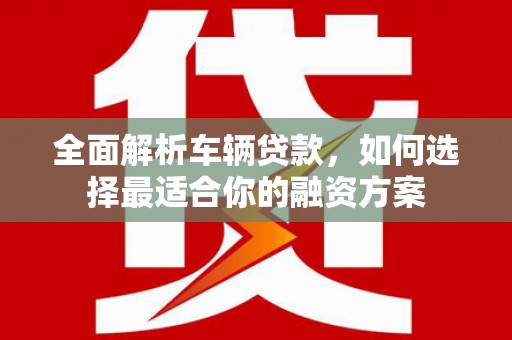 高树全面解析车辆贷款，如何选择最适合你的融资方案