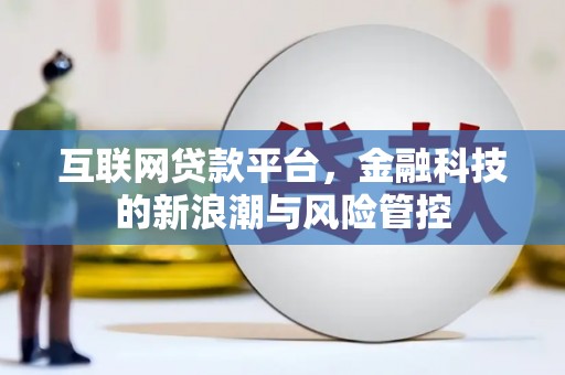 高树互联网贷款平台，金融科技的新浪潮与风险管控