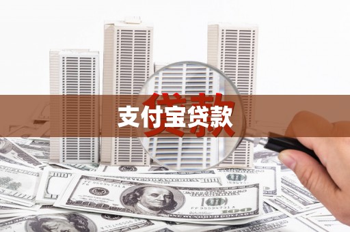 高树支付宝贷款