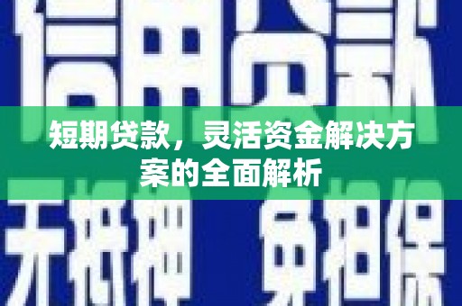 高树短期贷款，灵活资金解决方案的全面解析