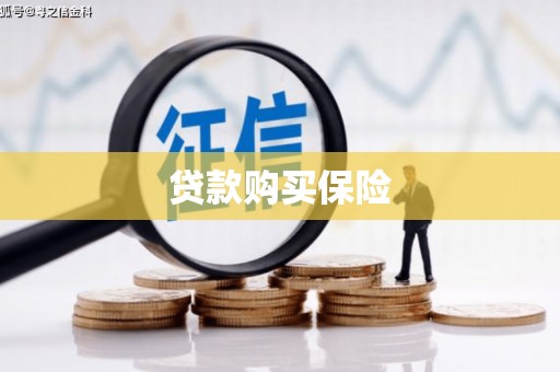 高树贷款购买保险