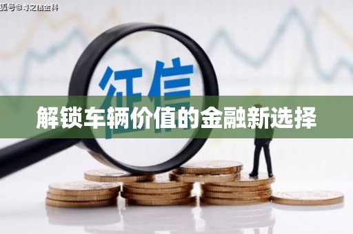 高树解锁车辆价值的金融新选择