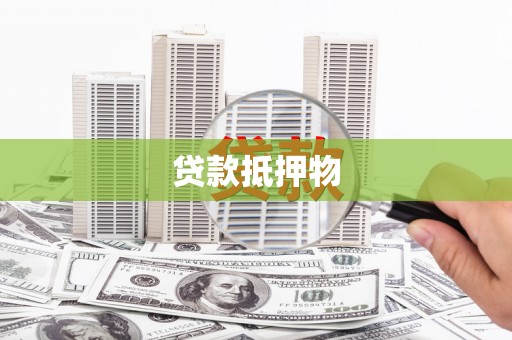高树贷款抵押物