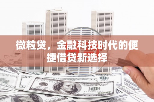 高树微粒贷，金融科技时代的便捷借贷新选择