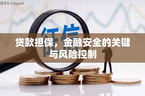 高树贷款担保，金融安全的关键与风险控制