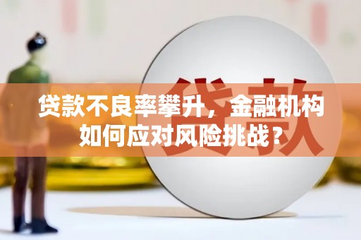 高树贷款不良率攀升，金融机构如何应对风险挑战？