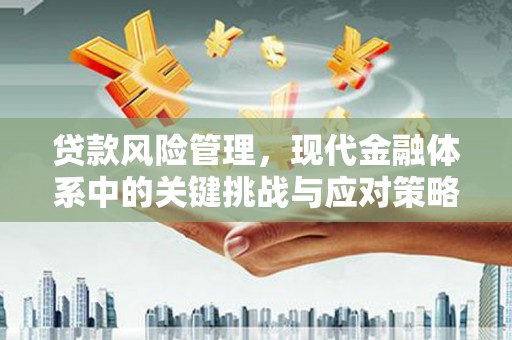 高树贷款风险管理，现代金融体系中的关键挑战与应对策略