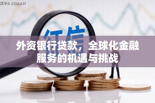 高树外资银行贷款，全球化金融服务的机遇与挑战
