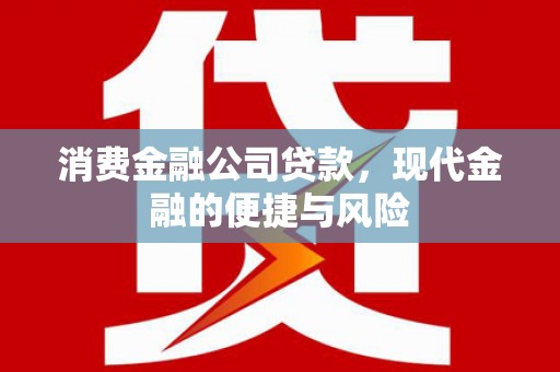 高树消费金融公司贷款，现代金融的便捷与风险
