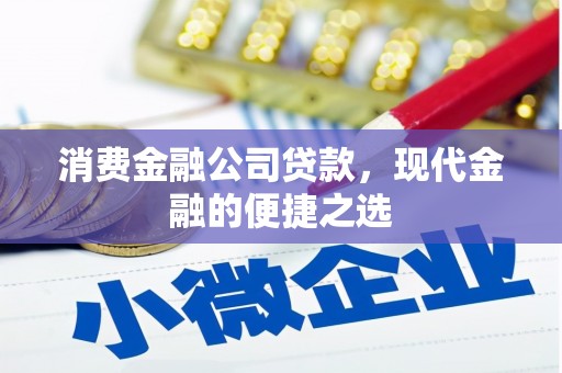 高树消费金融公司贷款，现代金融的便捷之选