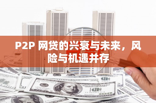 高树P2P 网贷的兴衰与未来，风险与机遇并存
