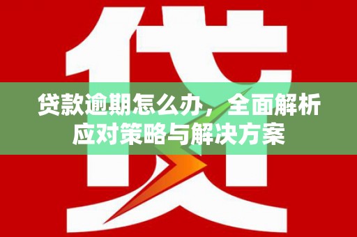 高树贷款逾期怎么办，全面解析应对策略与解决方案