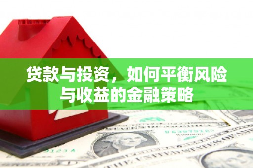 高树贷款与投资，如何平衡风险与收益的金融策略