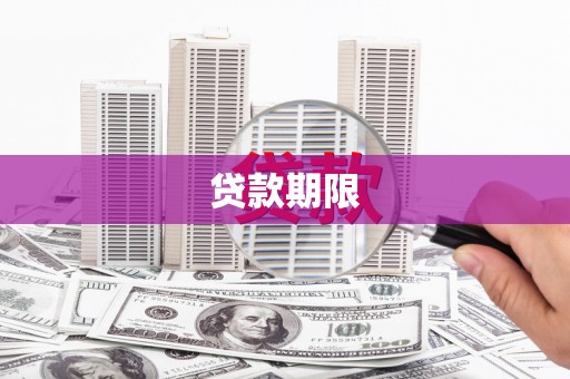 高树贷款期限