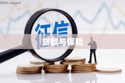 高树贷款与保险