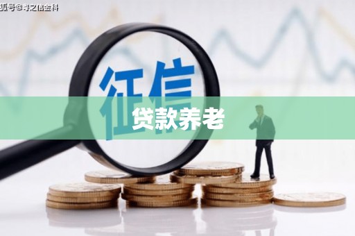 高树贷款养老