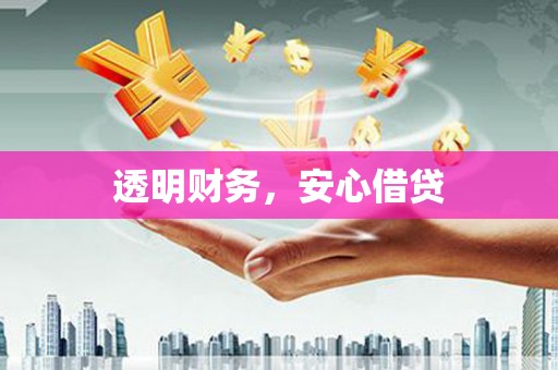 高树透明财务，安心借贷