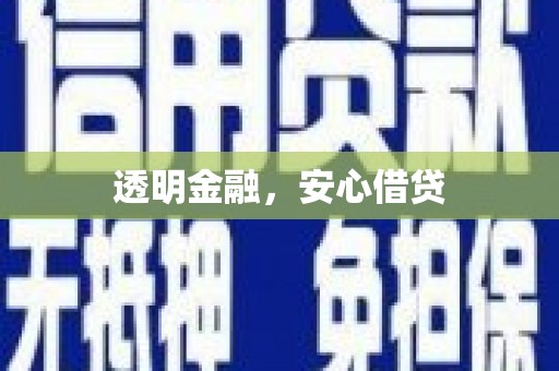 高树透明金融，安心借贷