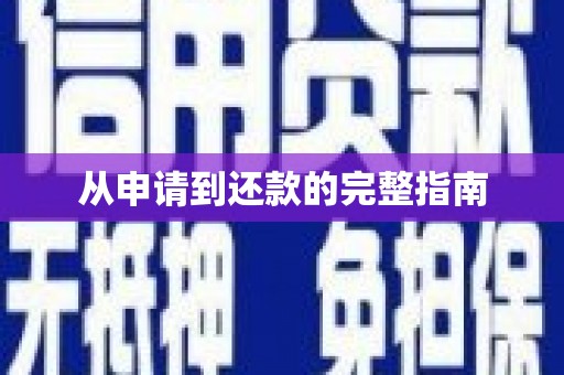 高树从申请到还款的完整指南
