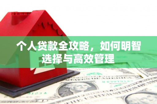 高树个人贷款全攻略，如何明智选择与高效管理