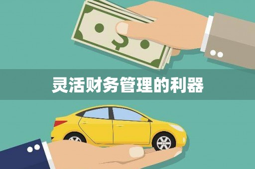 高树灵活财务管理的利器