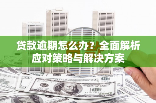 高树贷款逾期怎么办？全面解析应对策略与解决方案