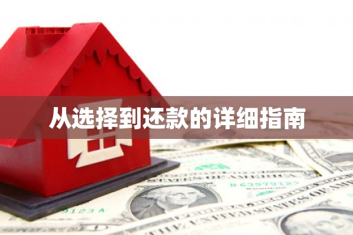 高树从选择到还款的详细指南