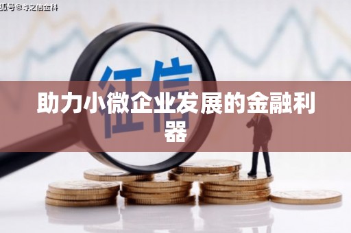 高树助力小微企业发展的金融利器