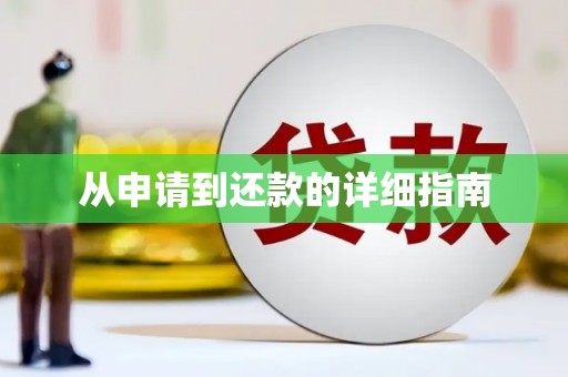 高树从申请到还款的详细指南
