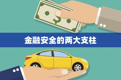 高树金融安全的两大支柱