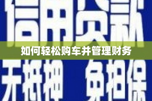 高树如何轻松购车并管理财务