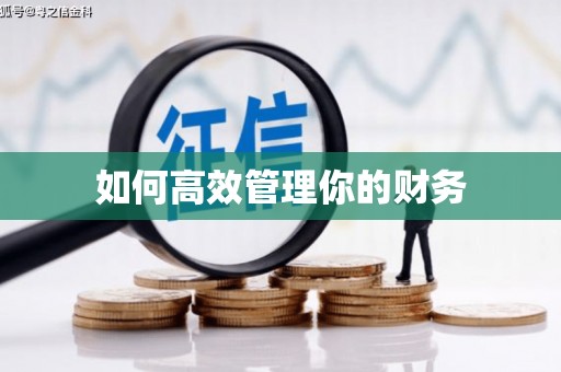 高树如何高效管理你的财务