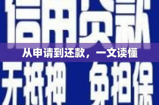 高树从申请到还款，一文读懂