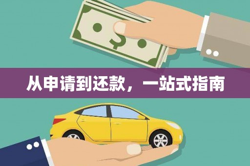 高树从申请到还款，一站式指南