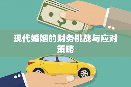 高树现代婚姻的财务挑战与应对策略